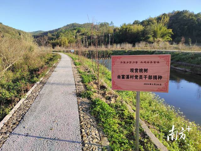 富溪村打造桃花廊。