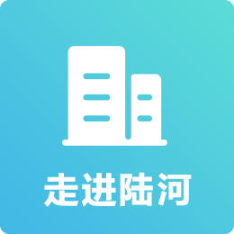 国产免费观看高清电视剧老王影视